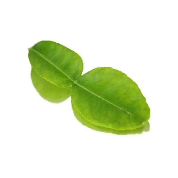 Lime Leaves.webp